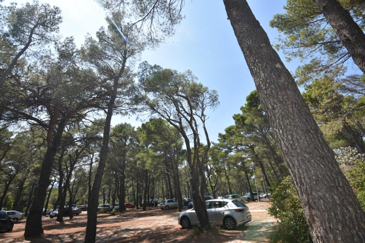 Mobile Homes Sara - Camping Basko Polje , Adriatic , Dalmatia Baška Voda Екстериор снимка