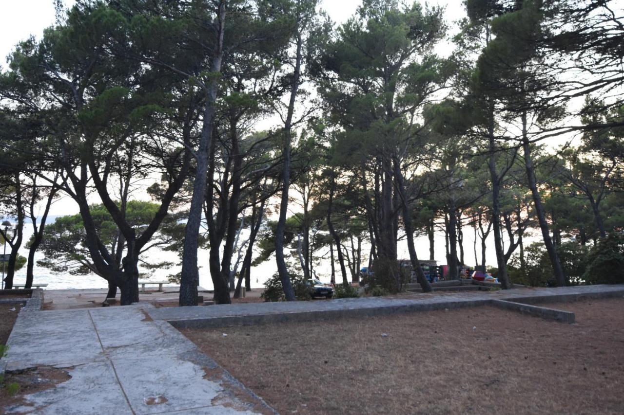 Mobile Homes Sara - Camping Basko Polje , Adriatic , Dalmatia Baška Voda Екстериор снимка