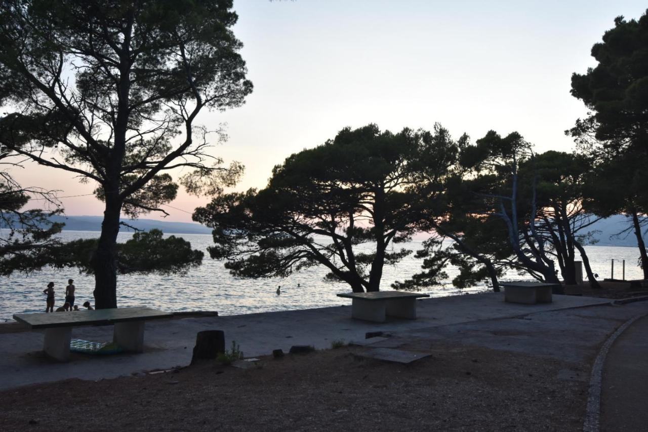 Mobile Homes Sara - Camping Basko Polje , Adriatic , Dalmatia Baška Voda Екстериор снимка