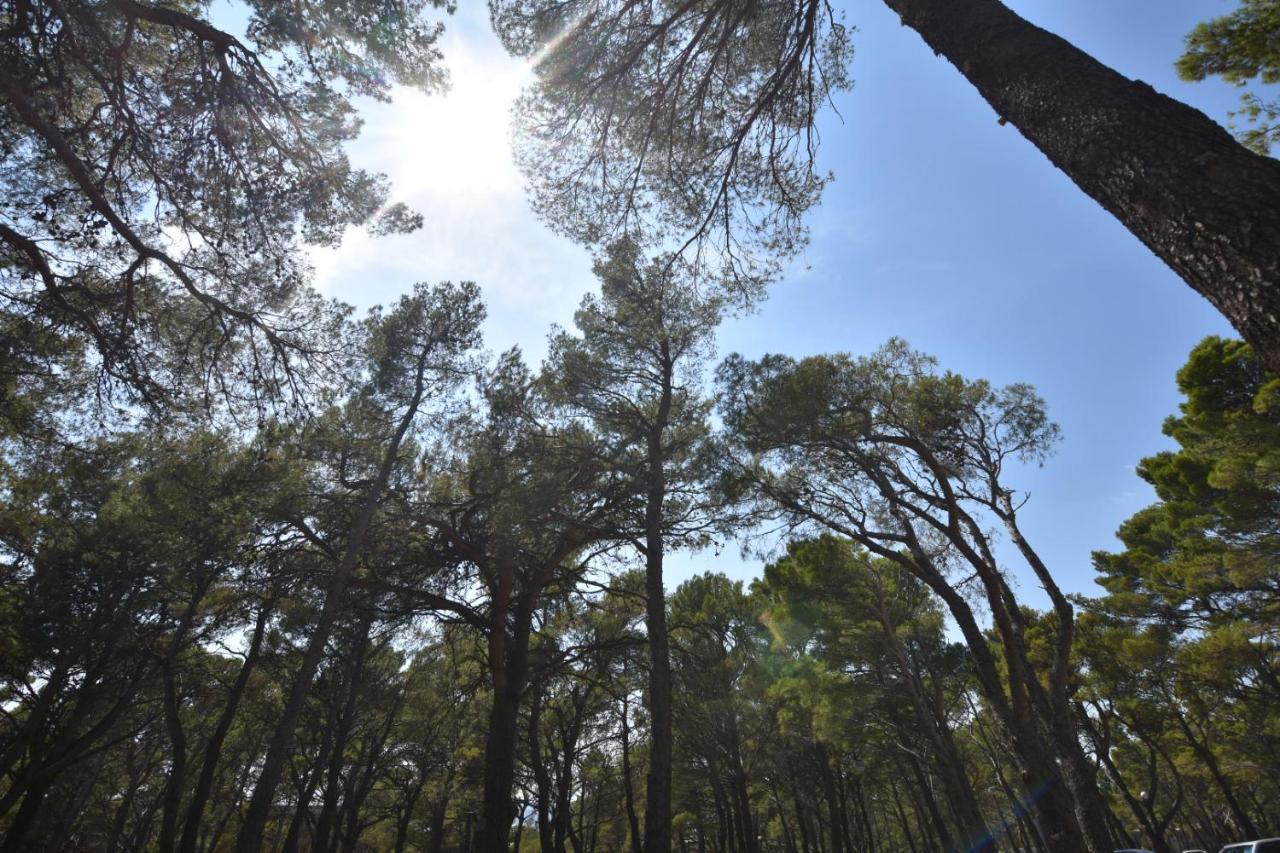 Mobile Homes Sara - Camping Basko Polje , Adriatic , Dalmatia Baška Voda Екстериор снимка