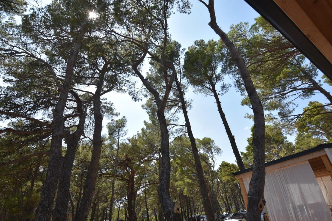 Mobile Homes Sara - Camping Basko Polje , Adriatic , Dalmatia Baška Voda Екстериор снимка
